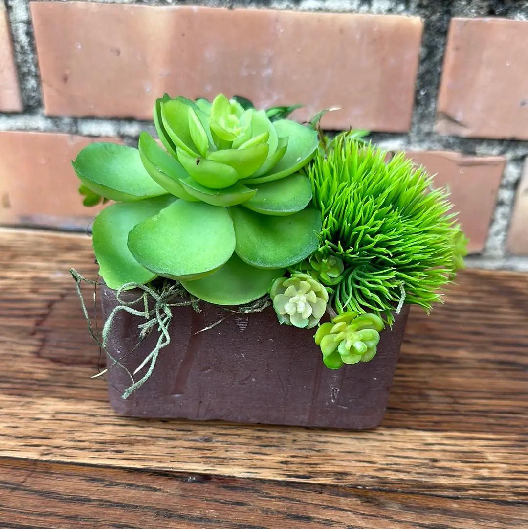 Succulent Faux Plant 1