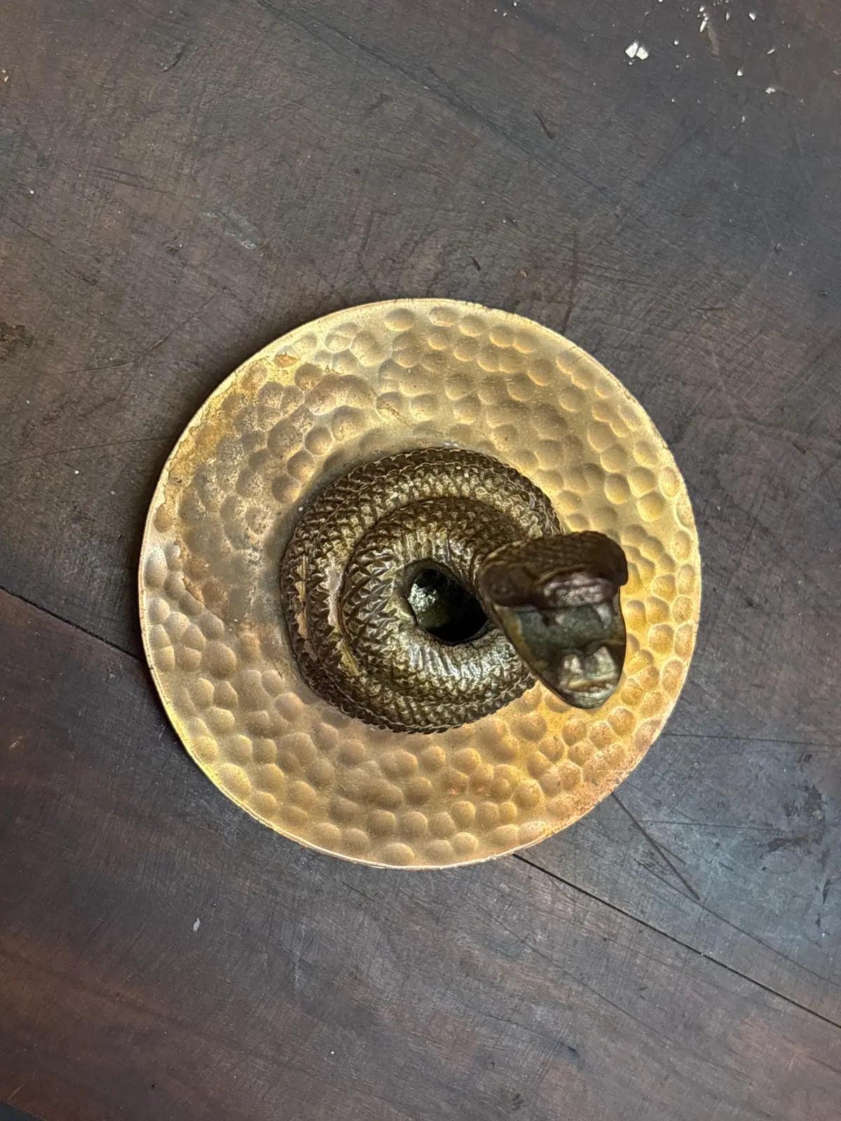 Metal Coiled Snake 1