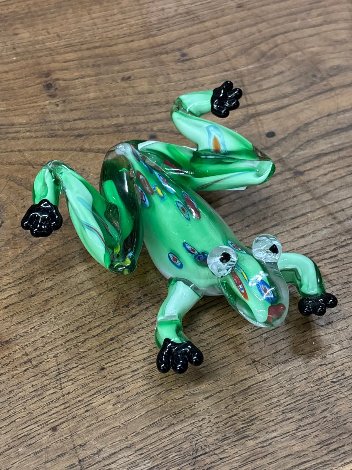 Green Glass Frog 1