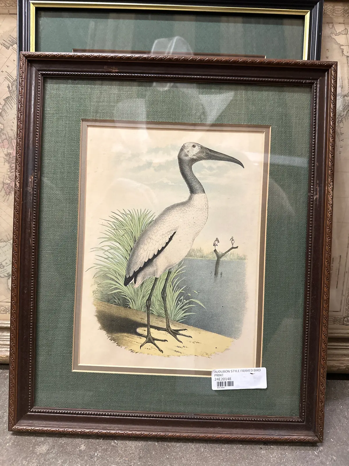 Audubon Style Framed Bird Print 1