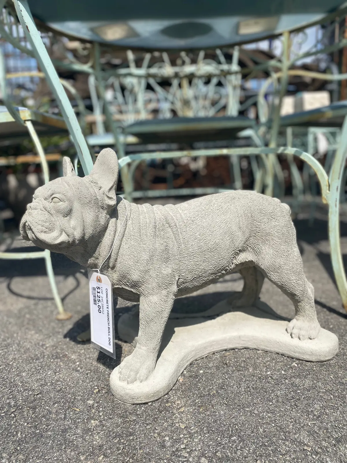 Concrete French Bull Dog 1