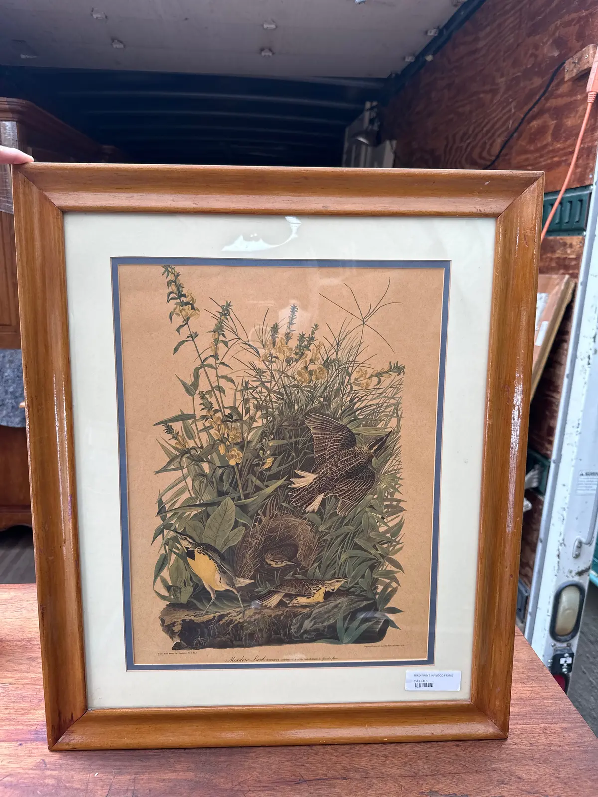 Bird Print In Wood Frame 1
