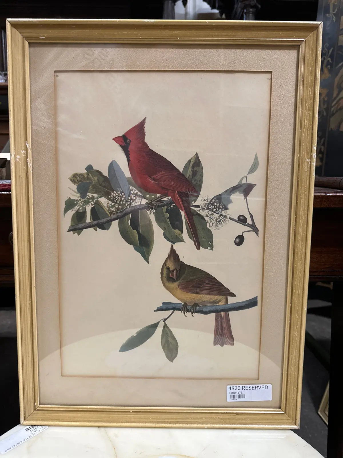 Mid Century Cardinal Audobon Reproduction Lithograph 1
