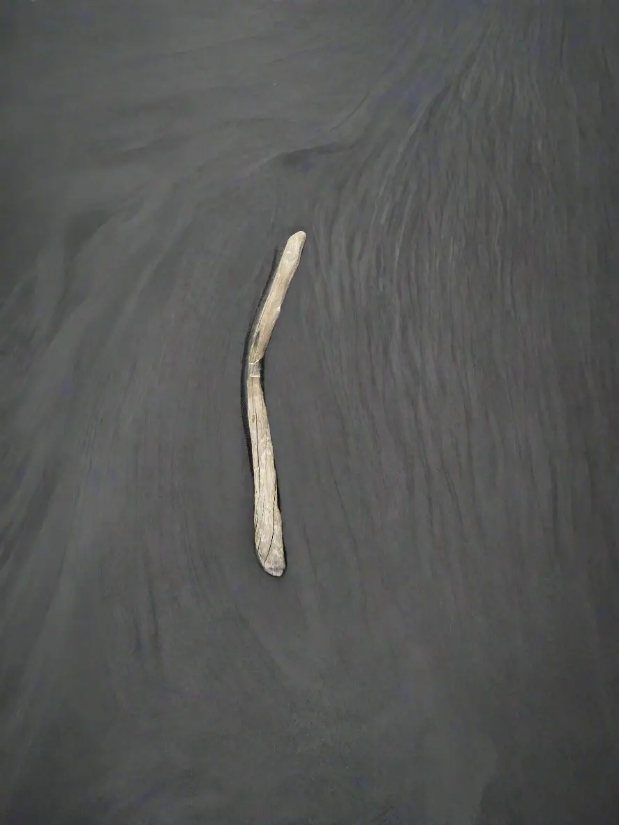 Smooth Driftwood Piece 1