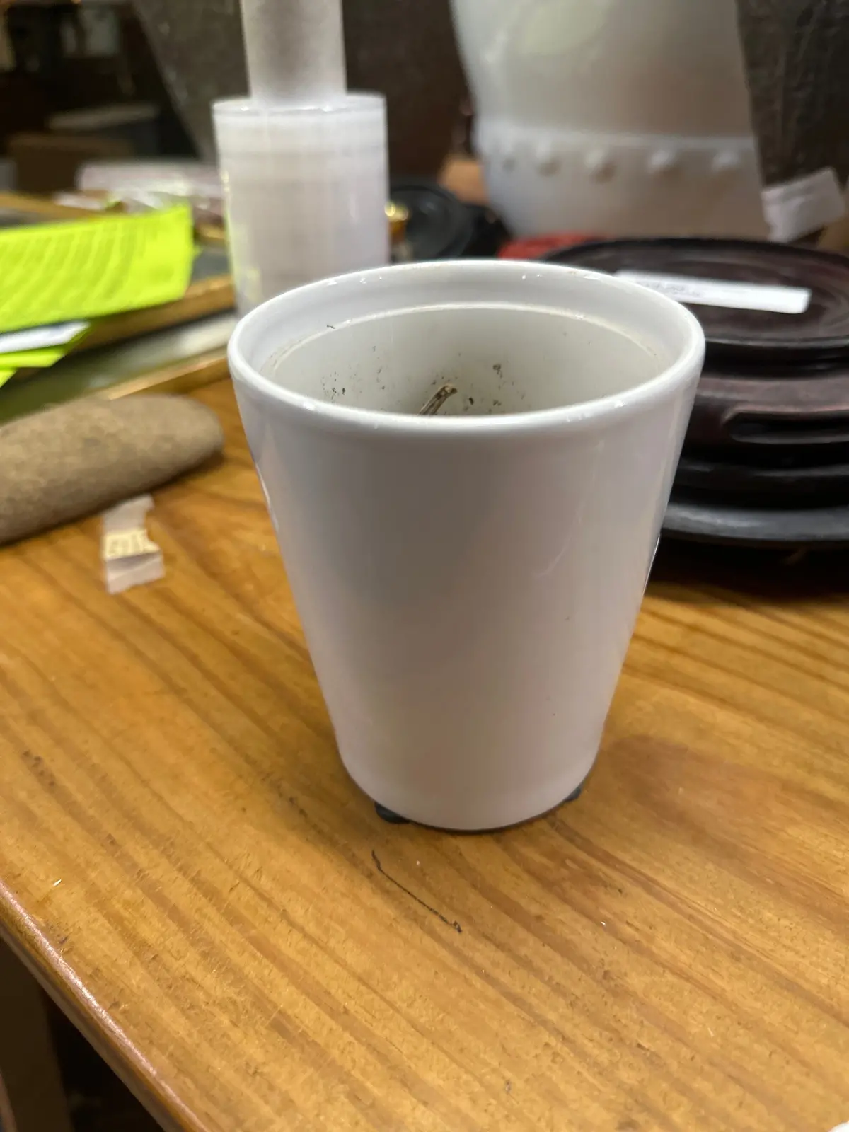 White Small Planter Smooth 1