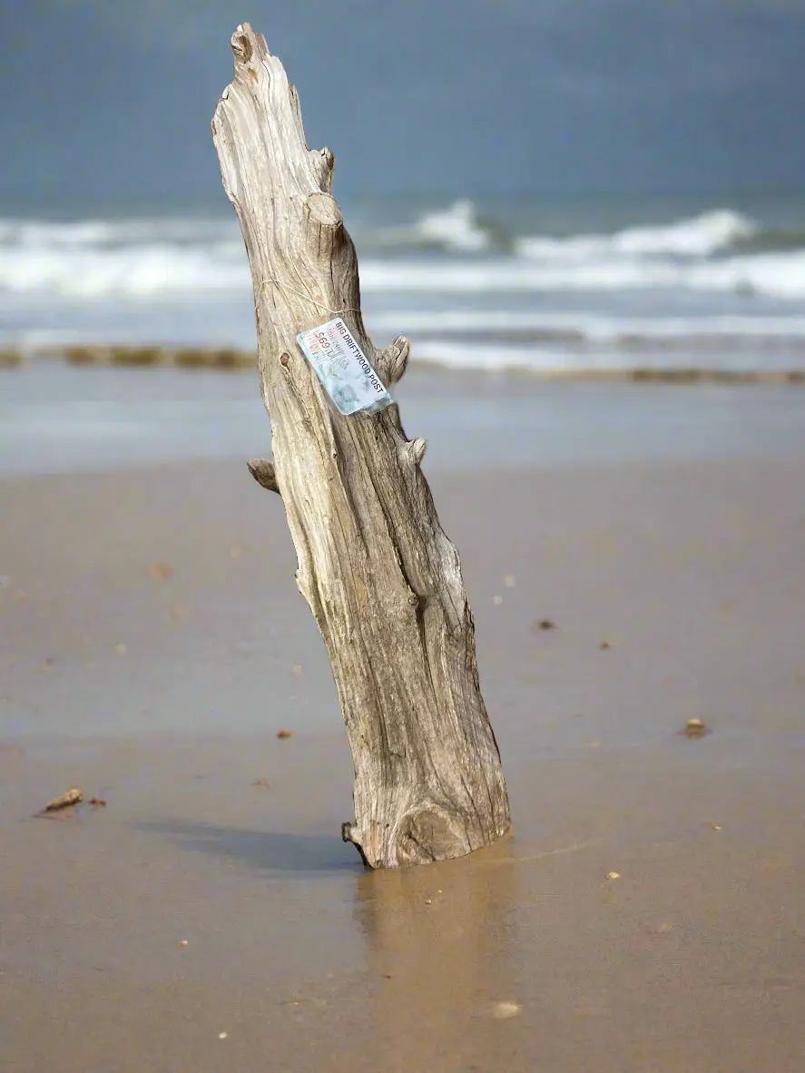 Big Driftwood Post 1