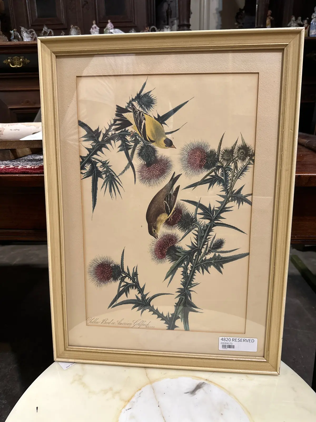 American Goldfinch Audobon Print 1