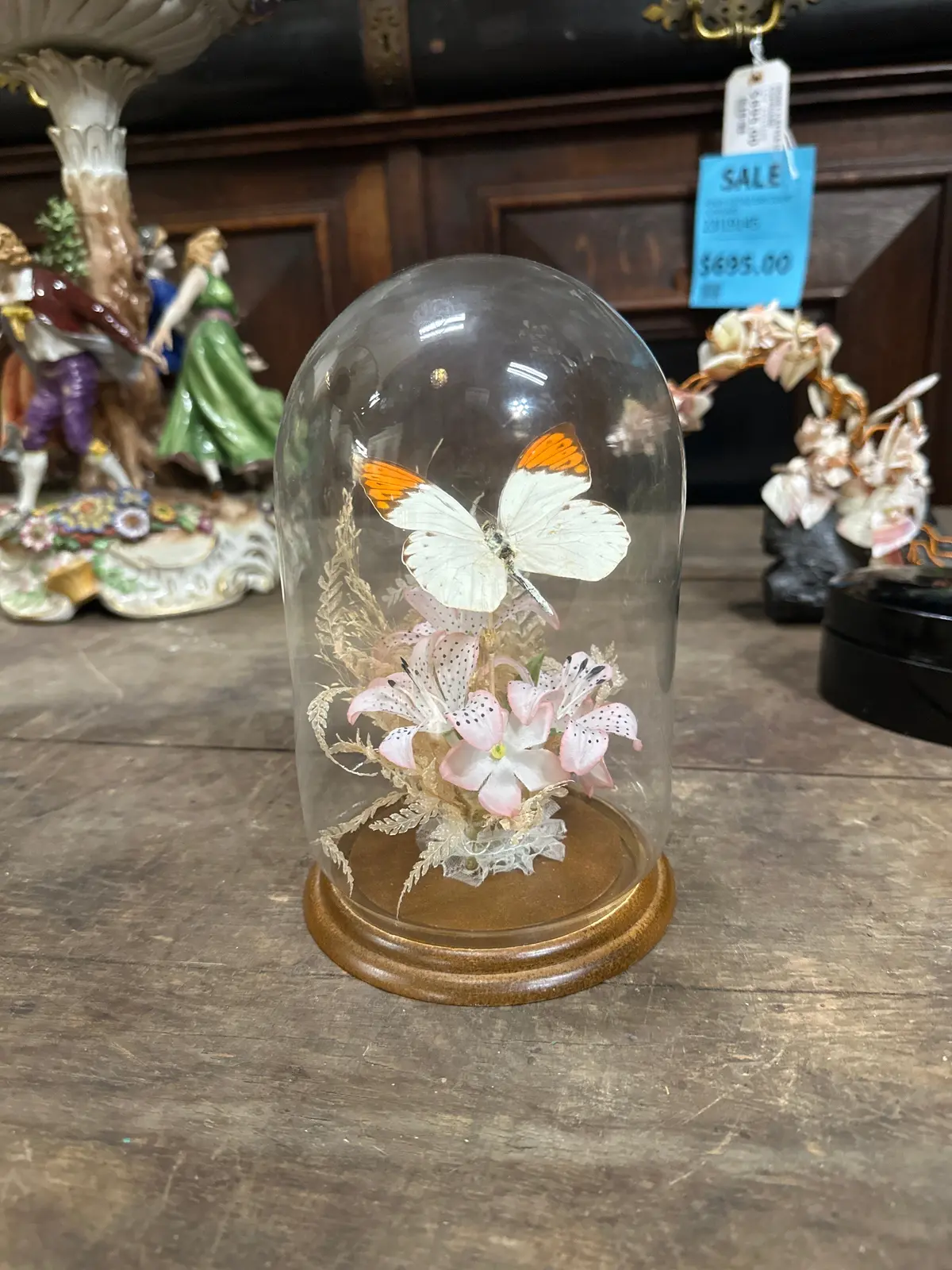 Vintage Mounted Butterfly Under Dome 1