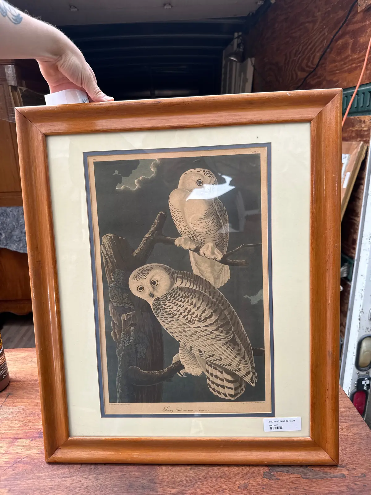 Bird Print In Wood Frame 1