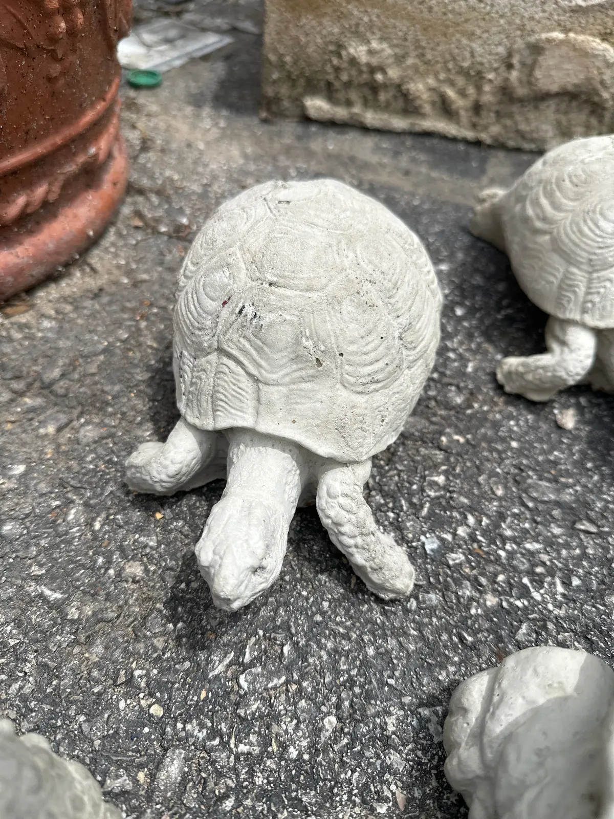 Small Concrete Turtle 1