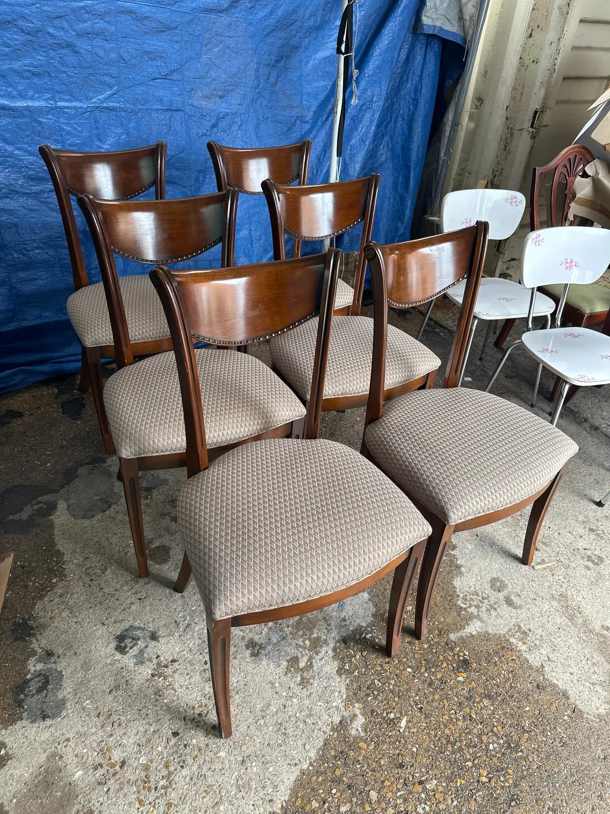 Set Of Six Upholstered Seat Chairs With Saber Leg 1