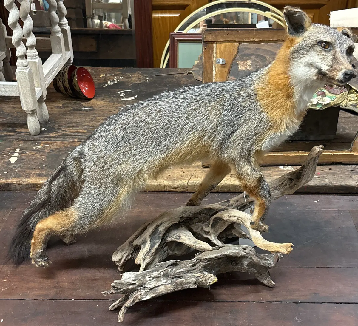 As Found Fox Mount 1