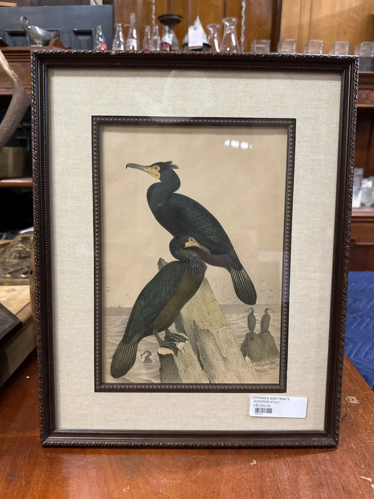 Framed  Audobon Style Bird Print 1