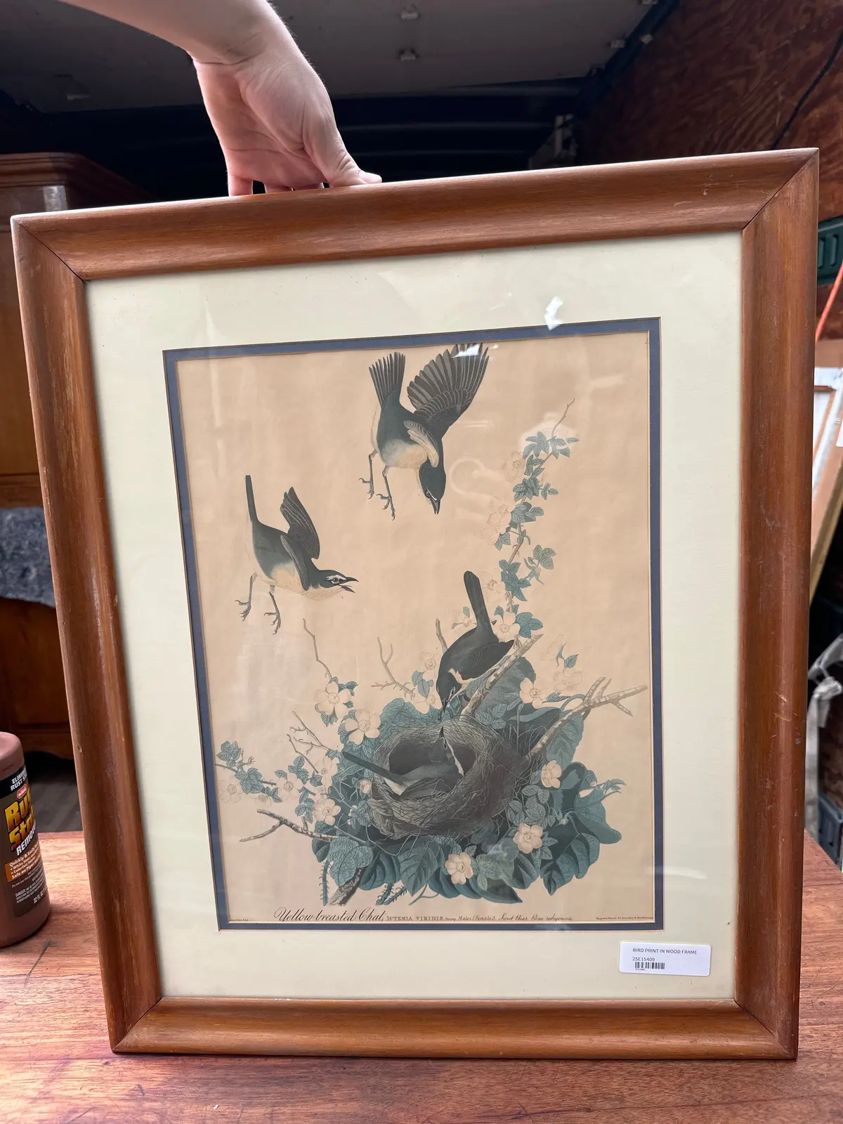 Bird Print In Wood Frame 1