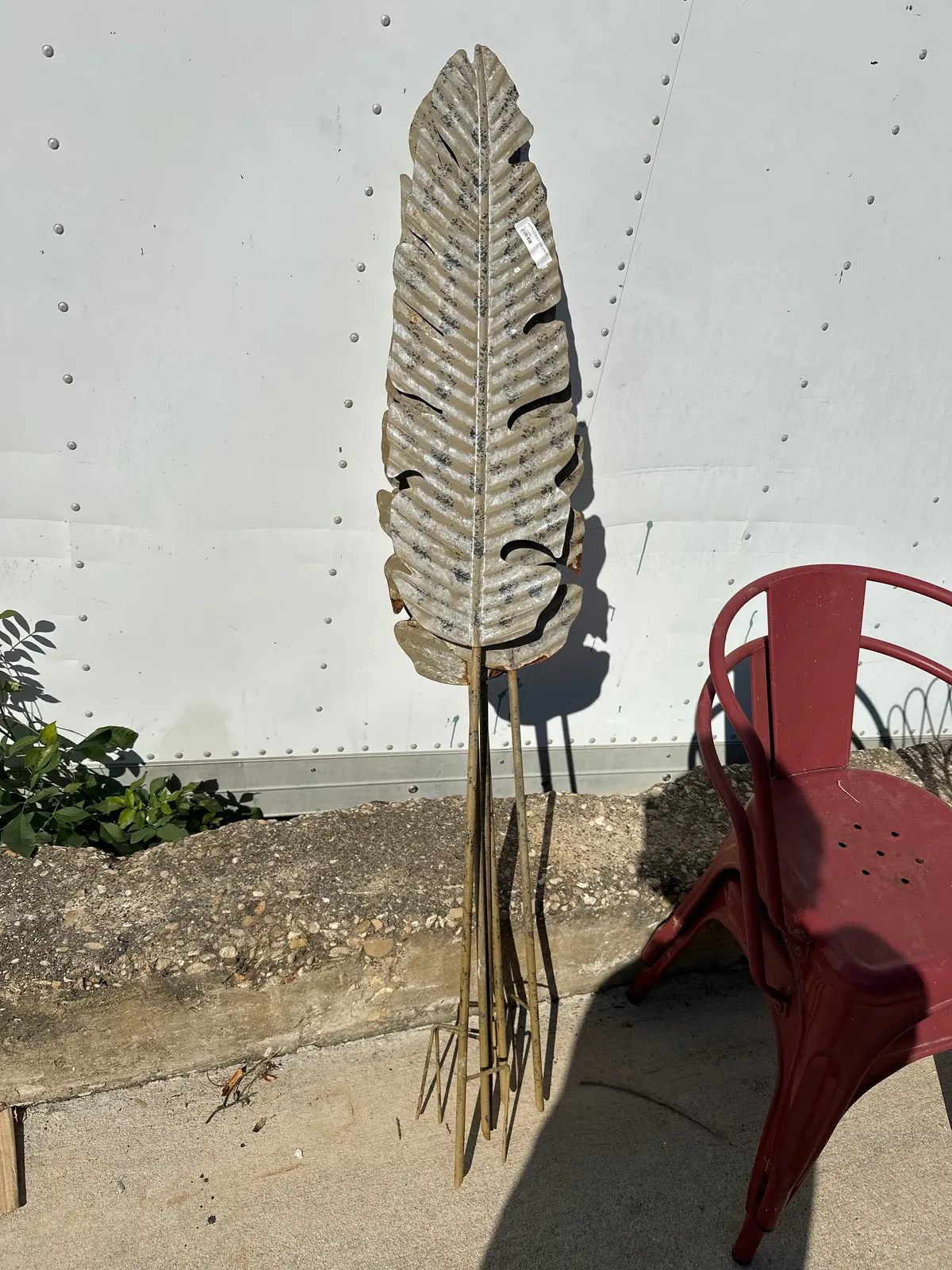 Fern Leaves Tin Each 1