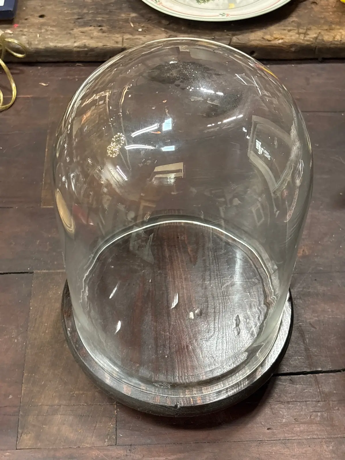 Large Dome With Brown Wood Base 1