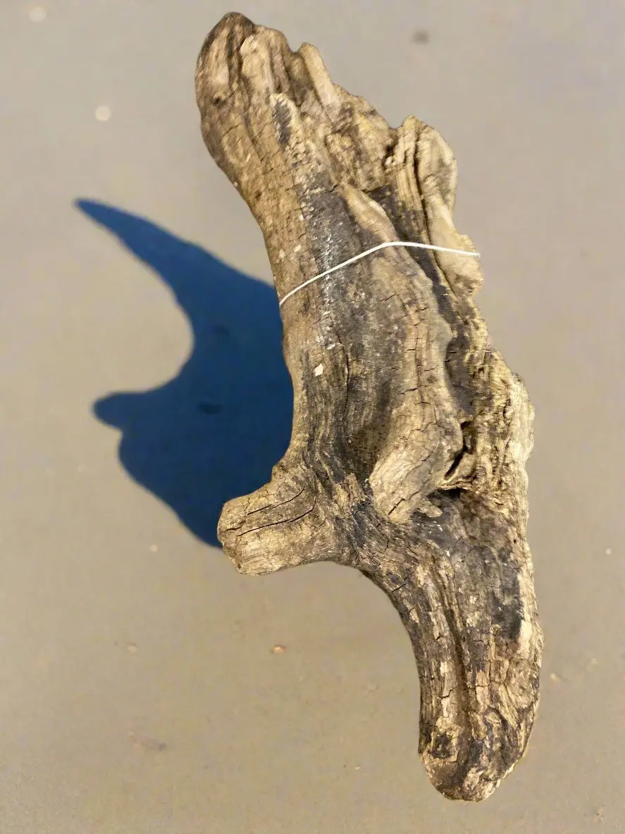 Swirly Driftwood Piece 1