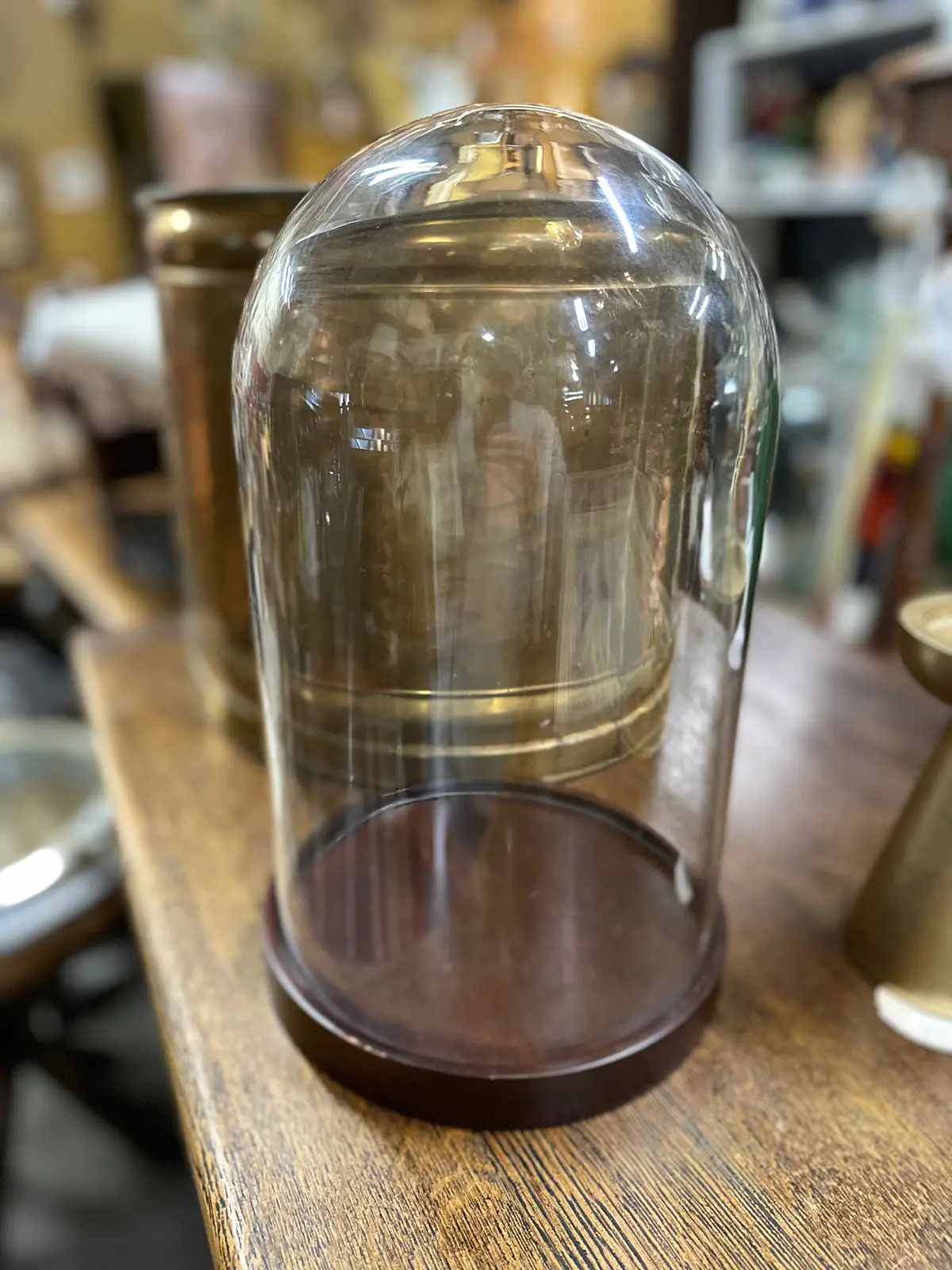 Dome With Wood Base 1