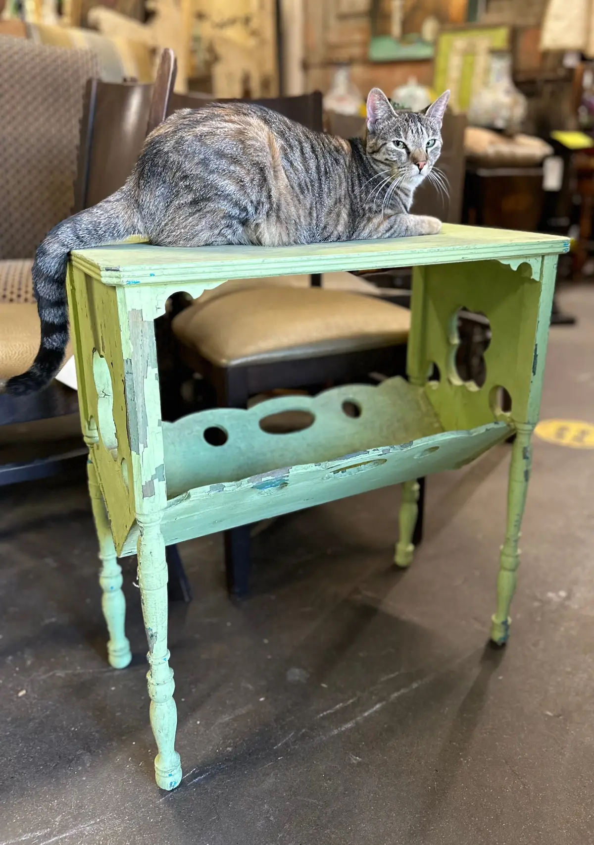 Green Painted Magazine Rack Stand 1