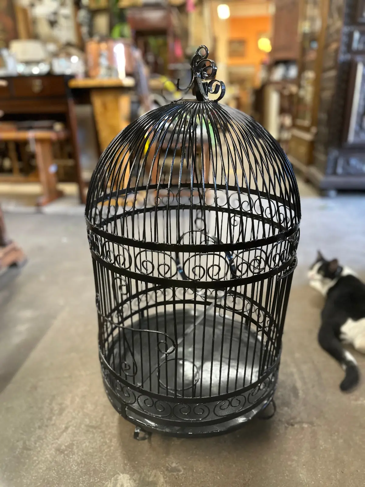 Iron Black French Bird Cage 1
