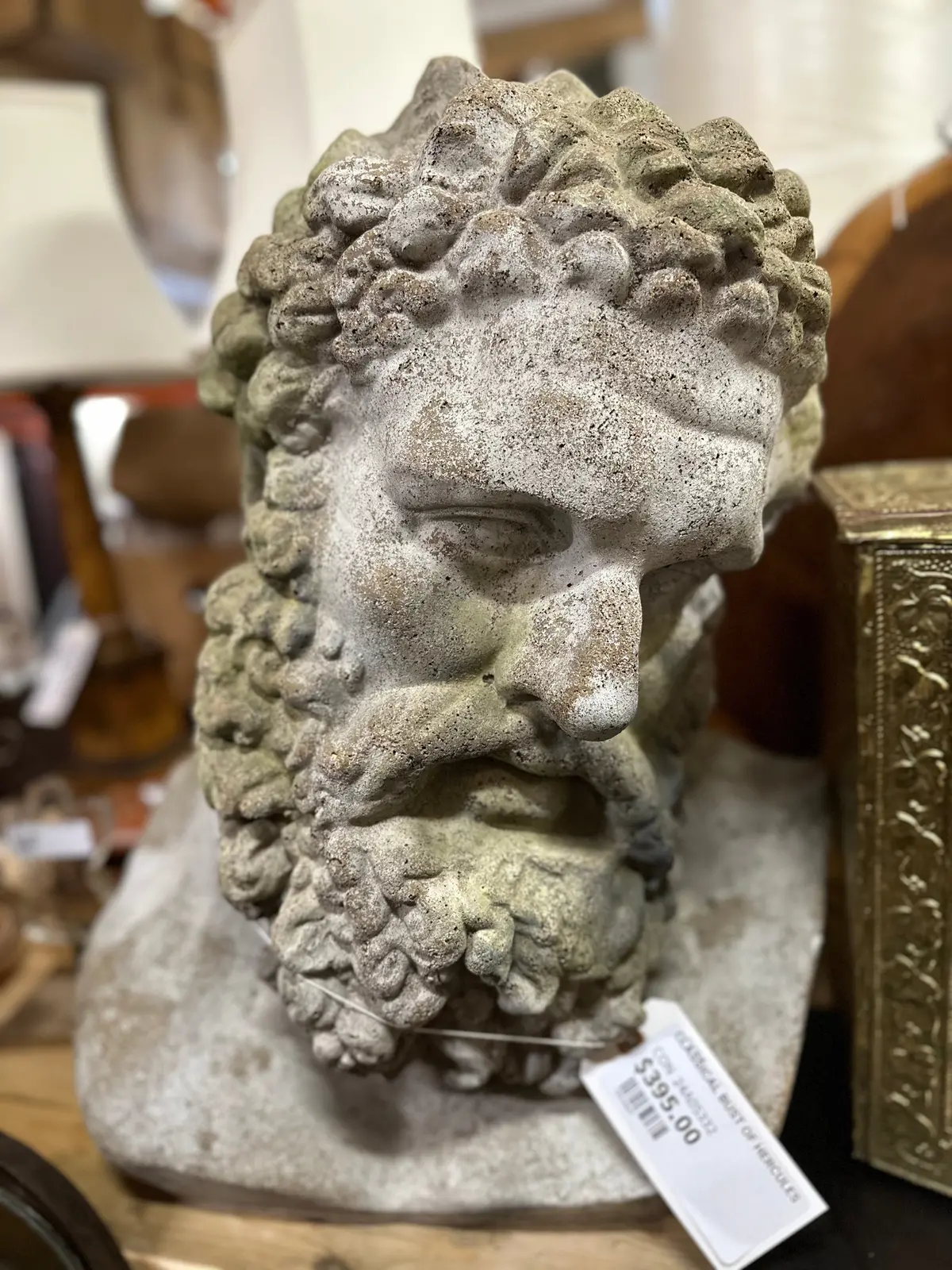 Classical Bust Of Hercules 1