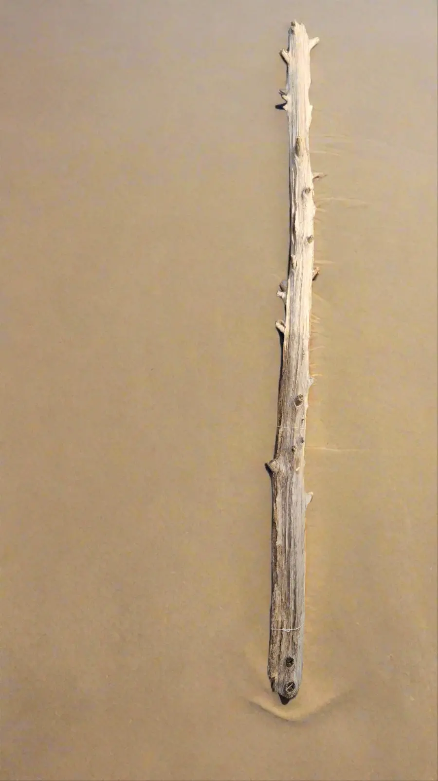 Tall Driftwood Post - Each 1