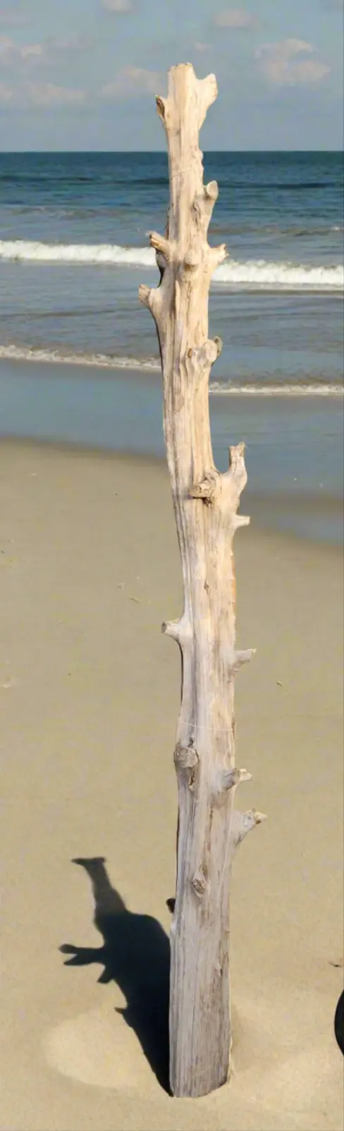 Tall Driftwood Post - Each 1