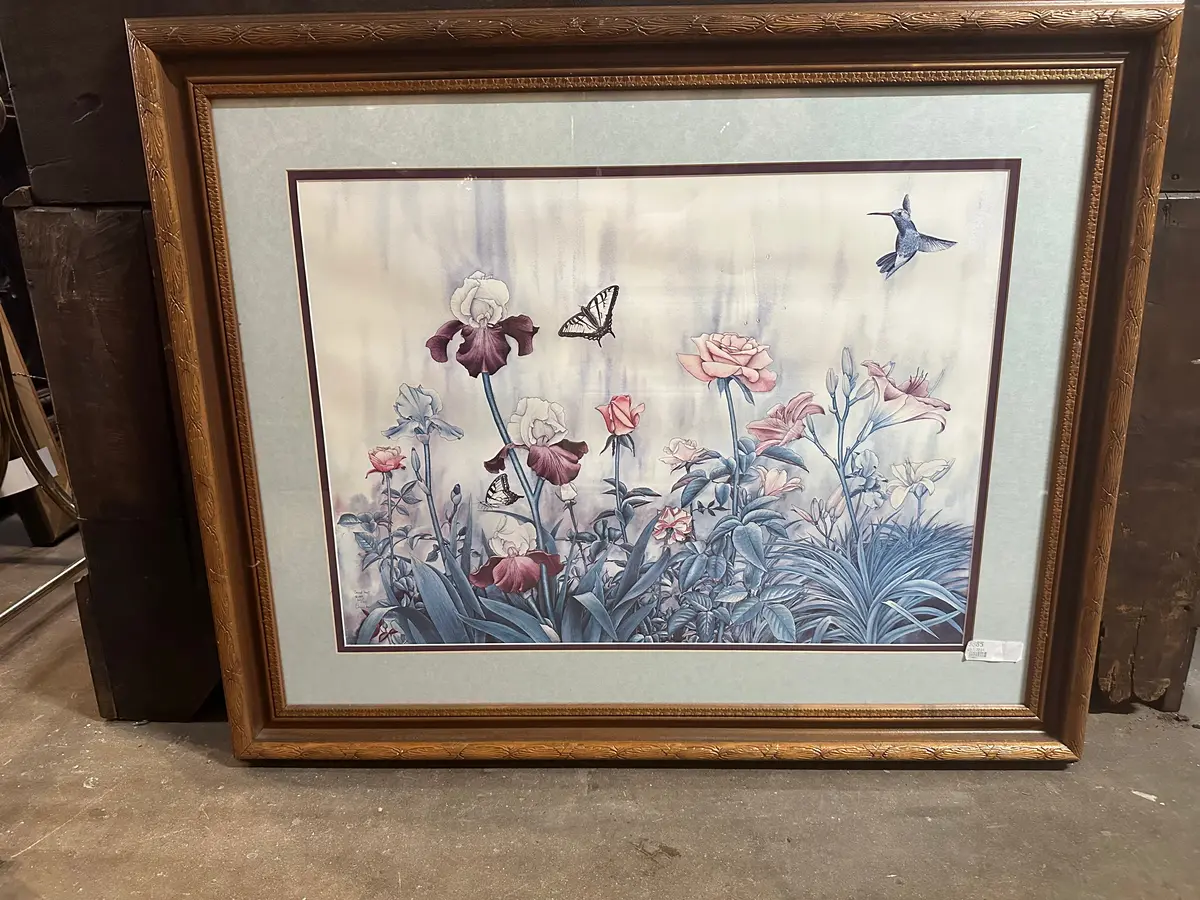 Print Of Humming Bird 1