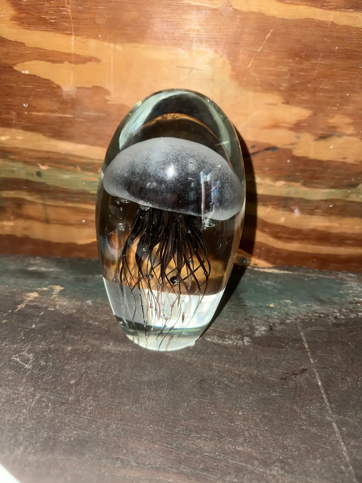 Vintage Large Oval Paperweight With Jellyfish 1
