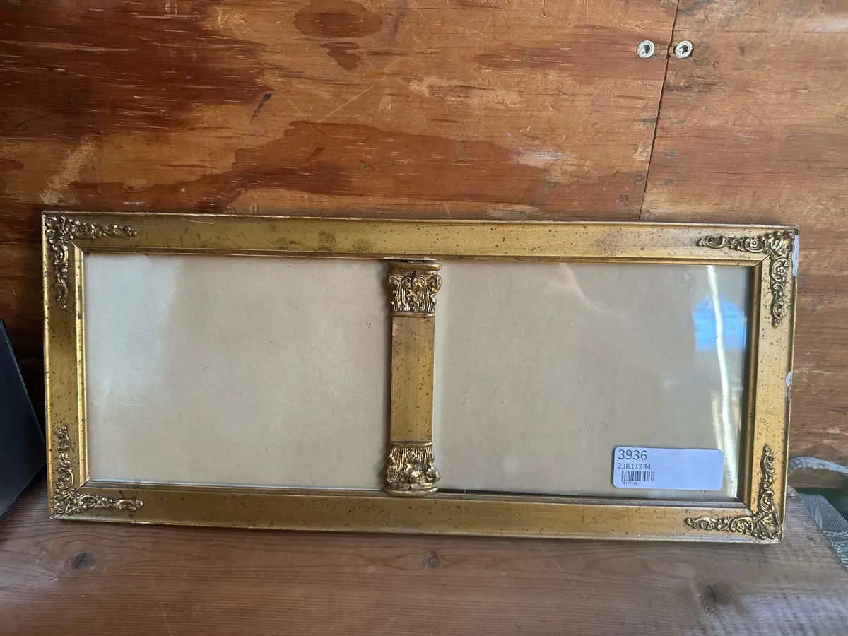 Small Gilt Double Frame 1