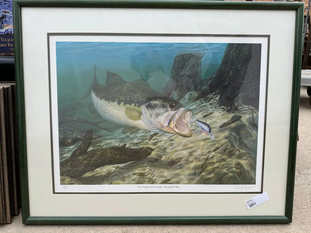 Nice Print Of Largemouth Bass 1