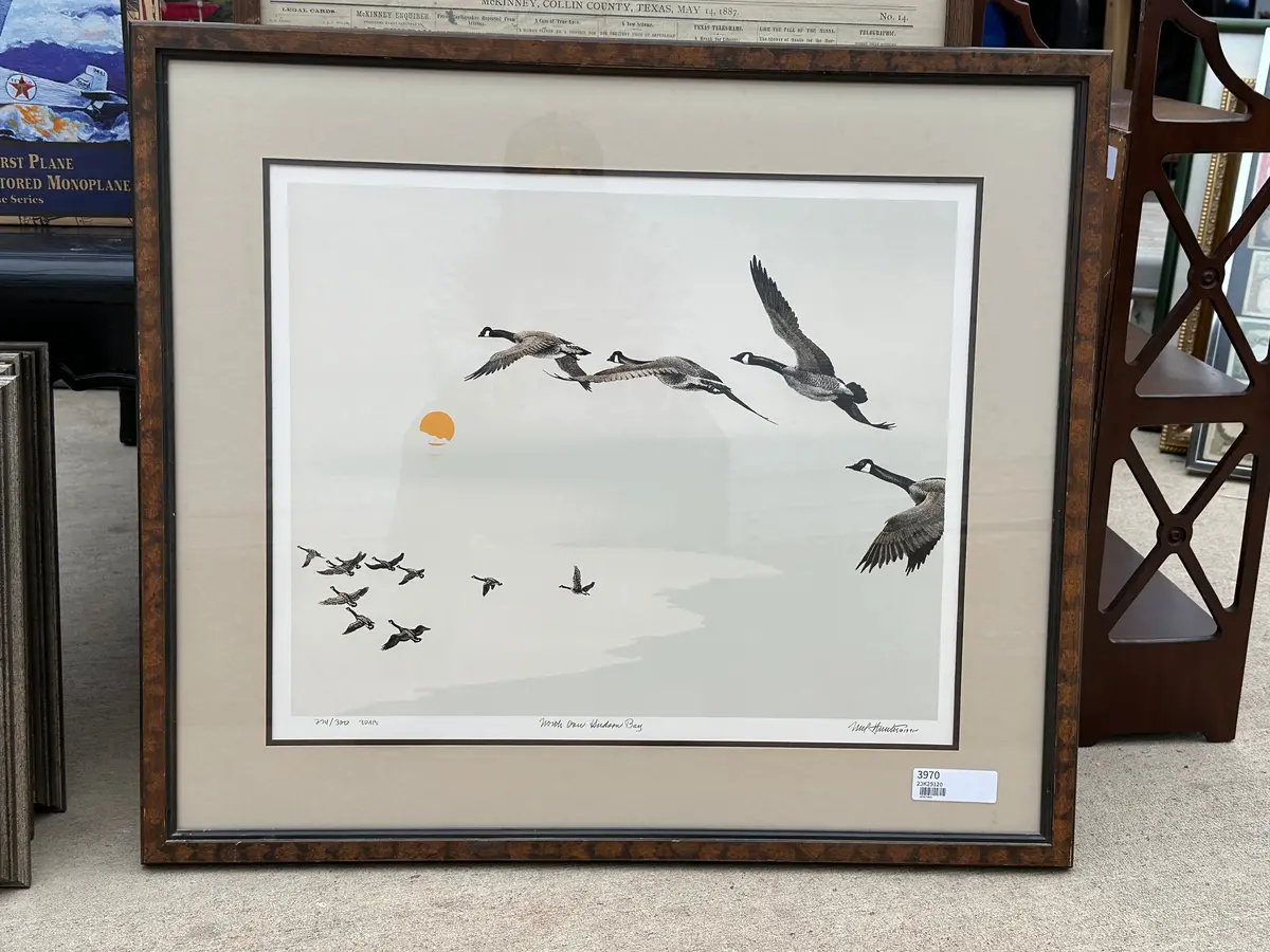 Print Of Flying Geese-Signed And Numbered 1