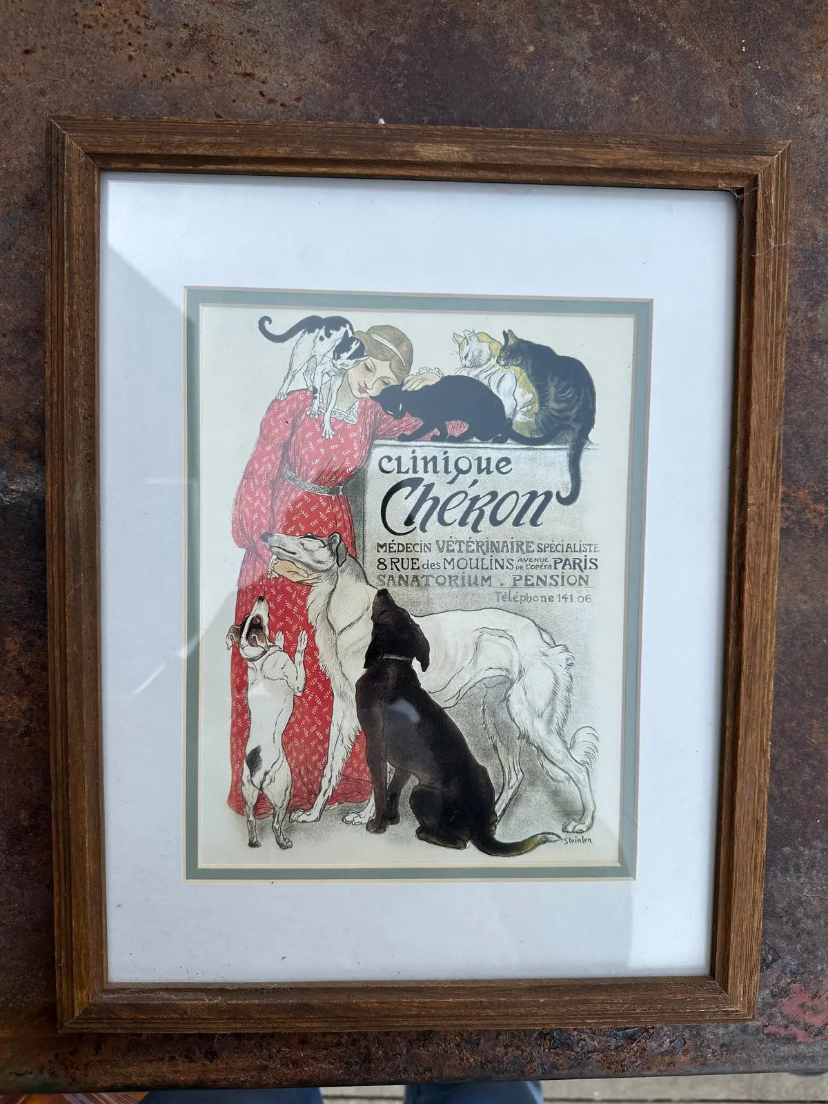 Fashion Print With Cats And Dogs 1
