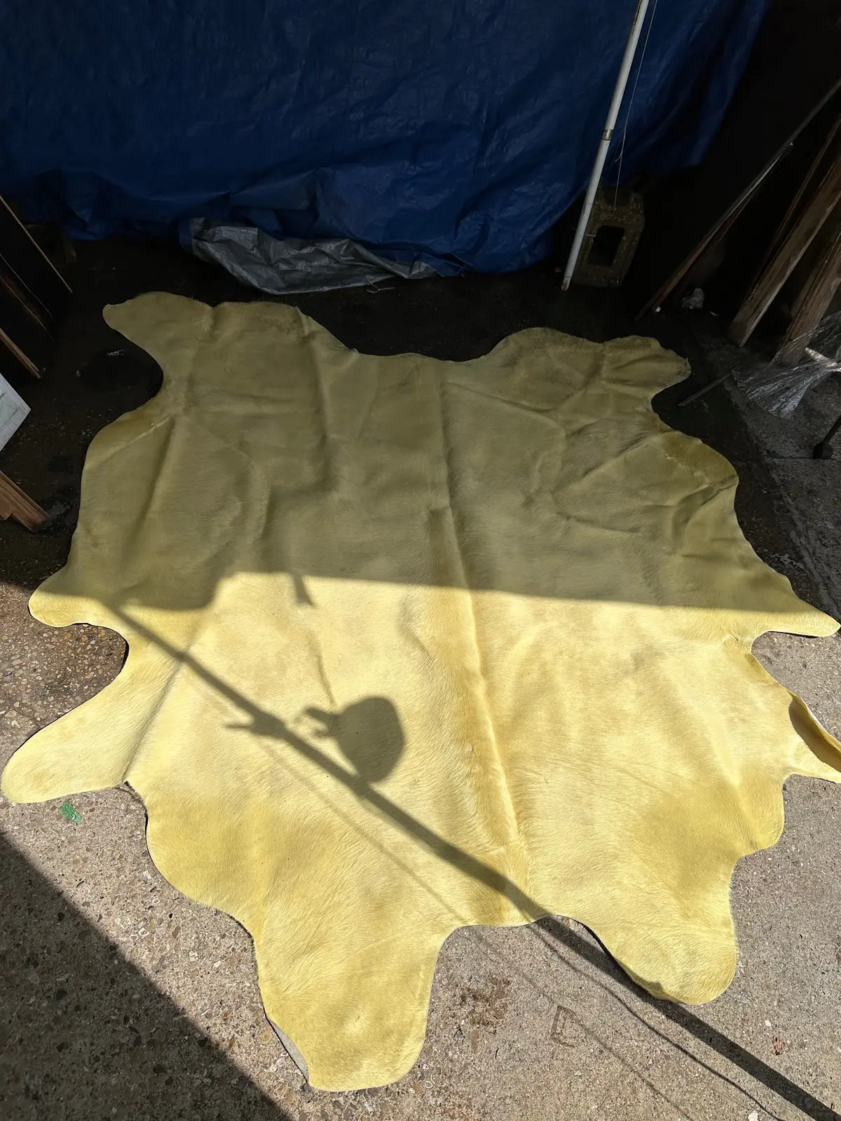 Yellow Cowhide Rug 1