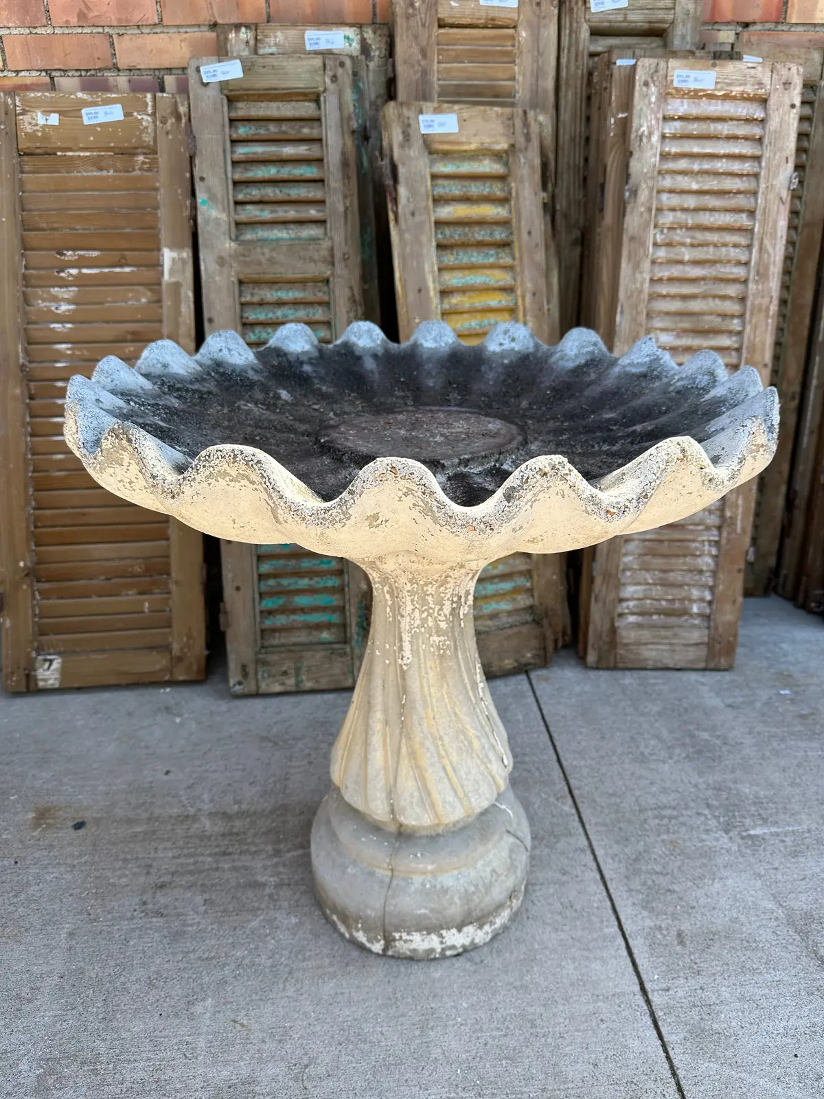 Large Scalloped Edge Bird Bath 1