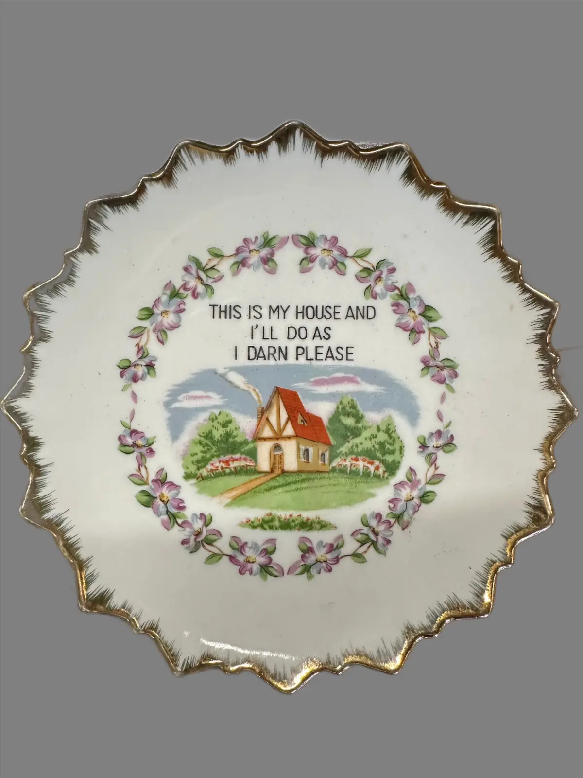 My Darn House Plate 1