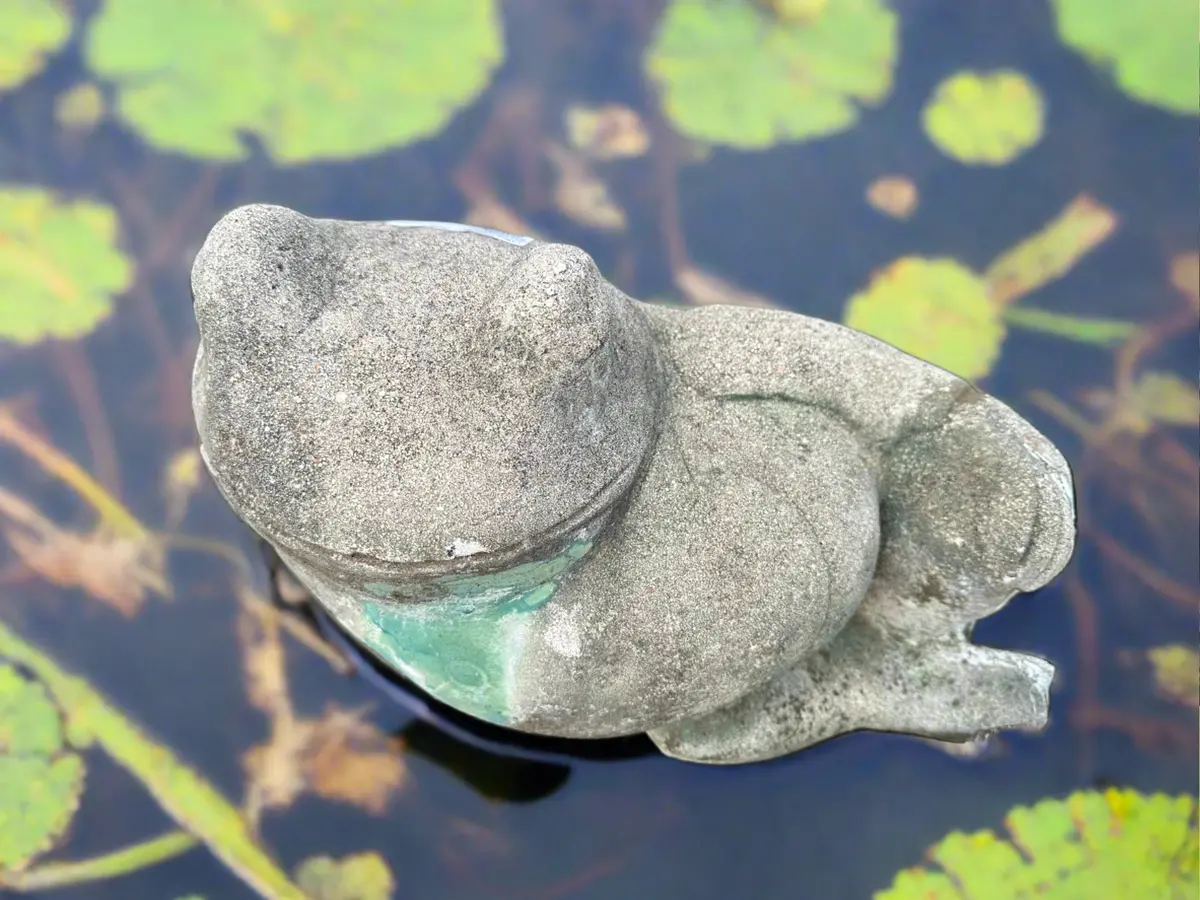 Large Concrete Frog Reclining 1