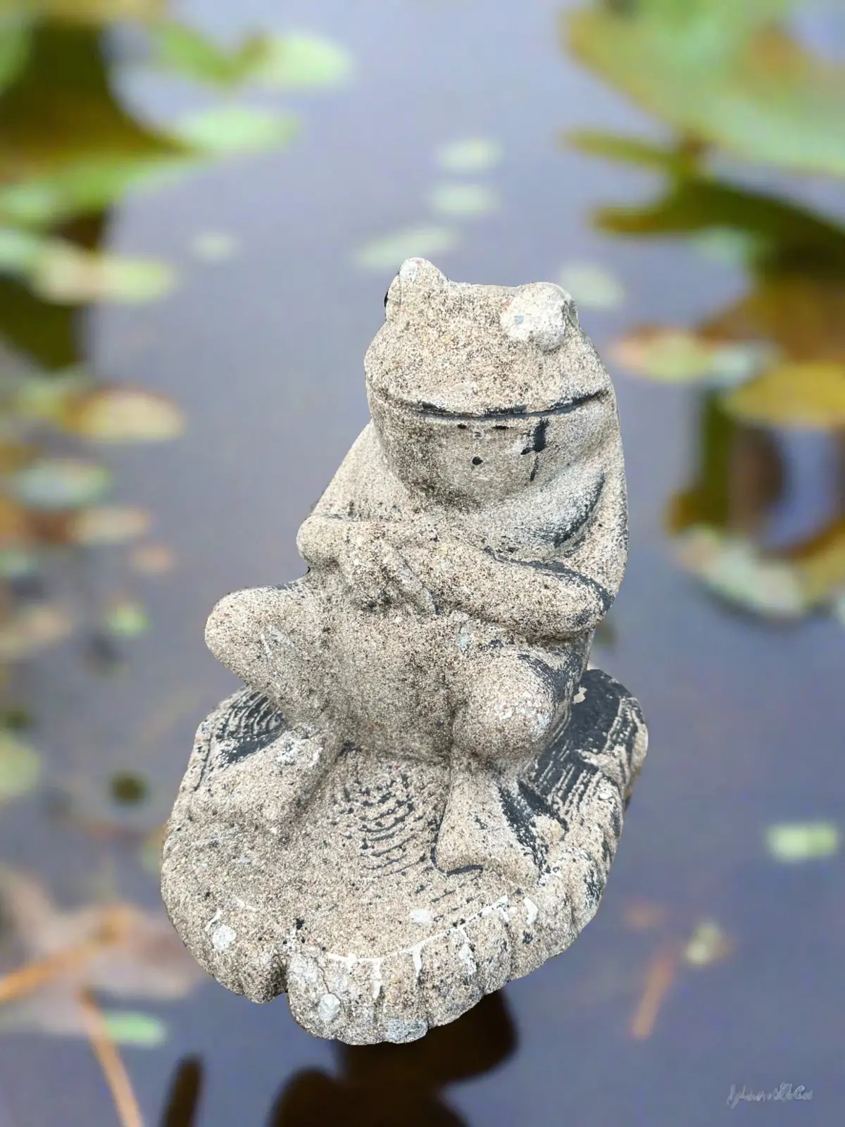 Tiny Concrete Frog On Stump 1