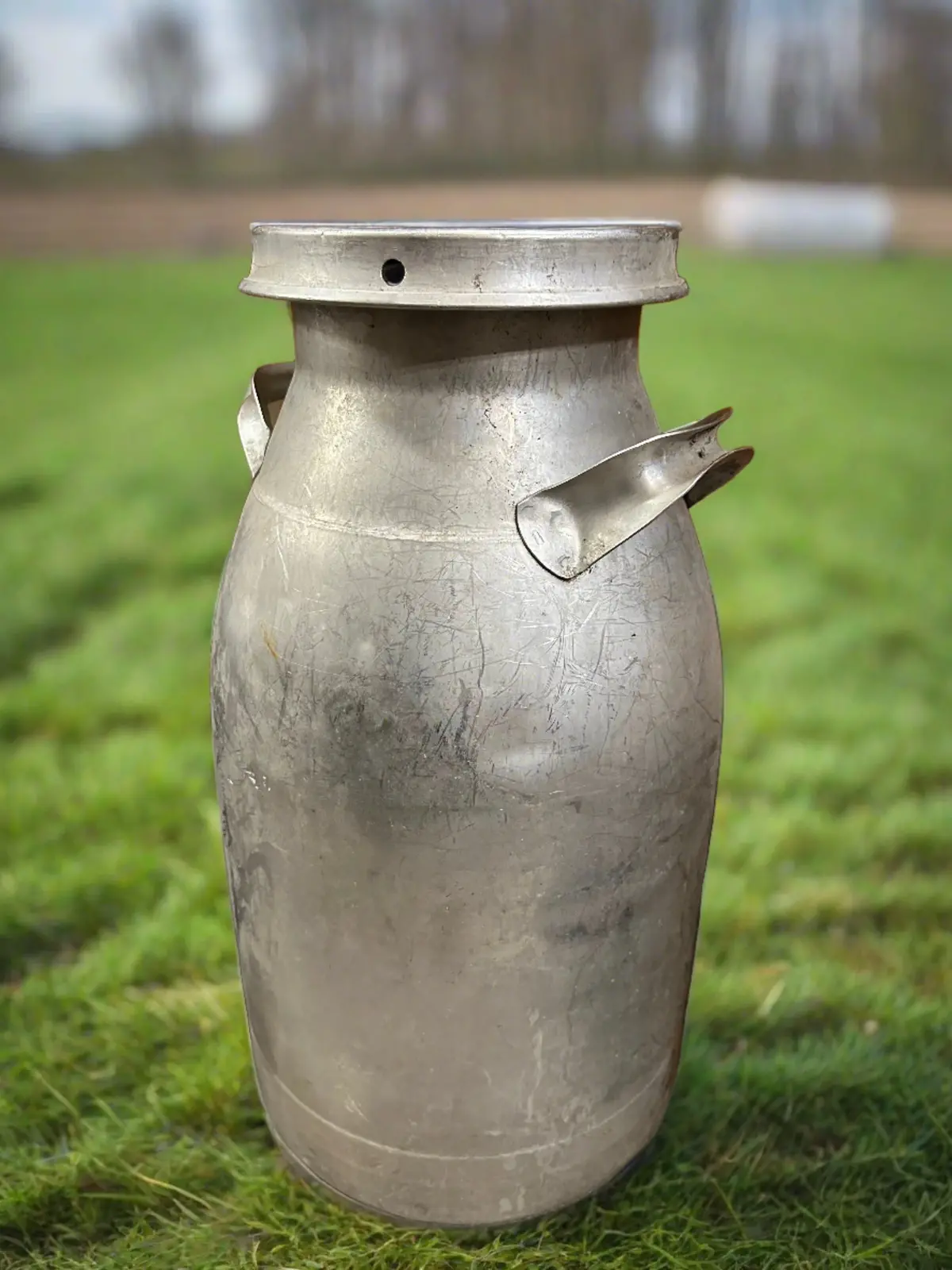 Stainless Steel Milk Can With Lid 1