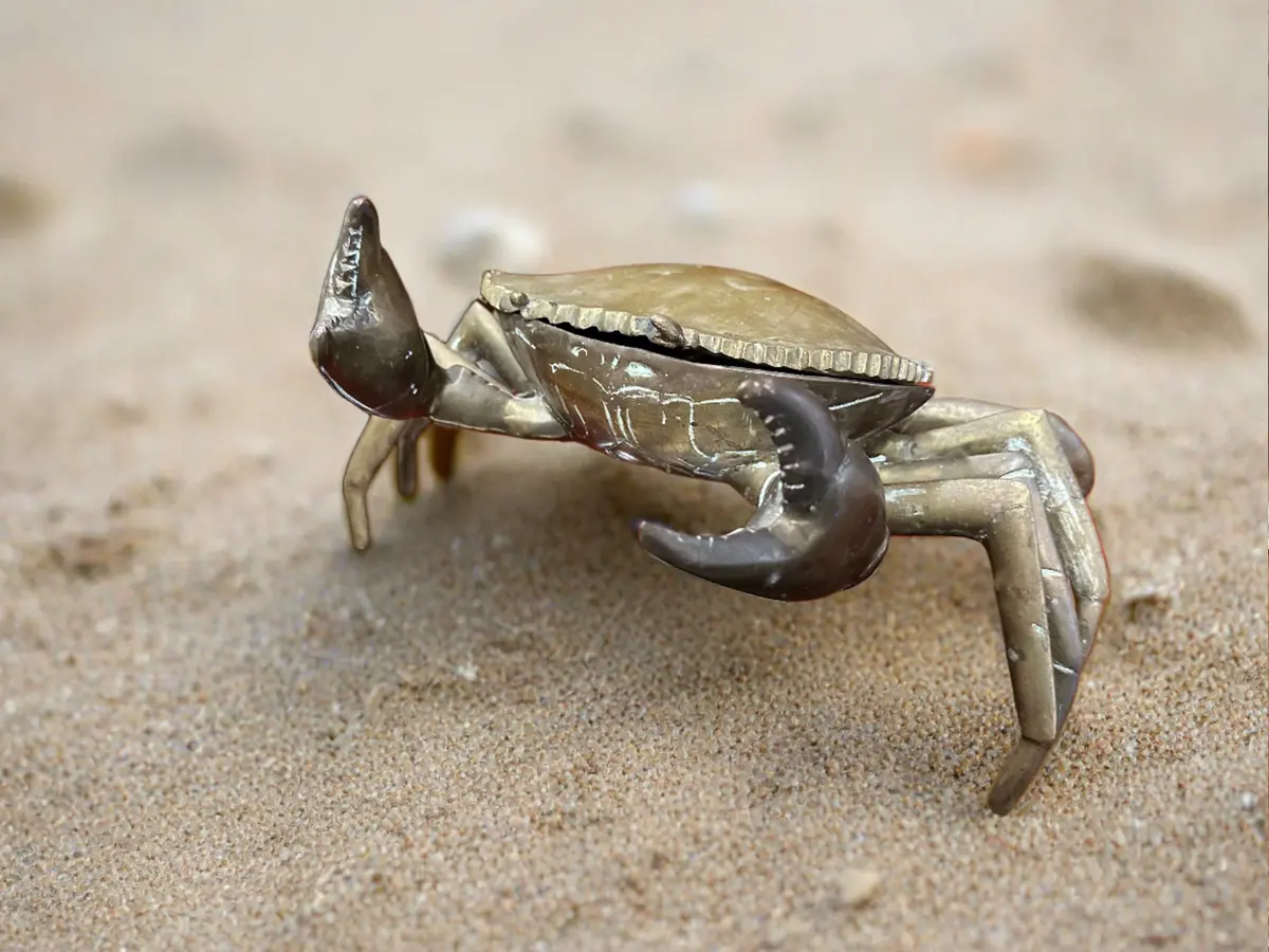 Large Brass Crab Box 1