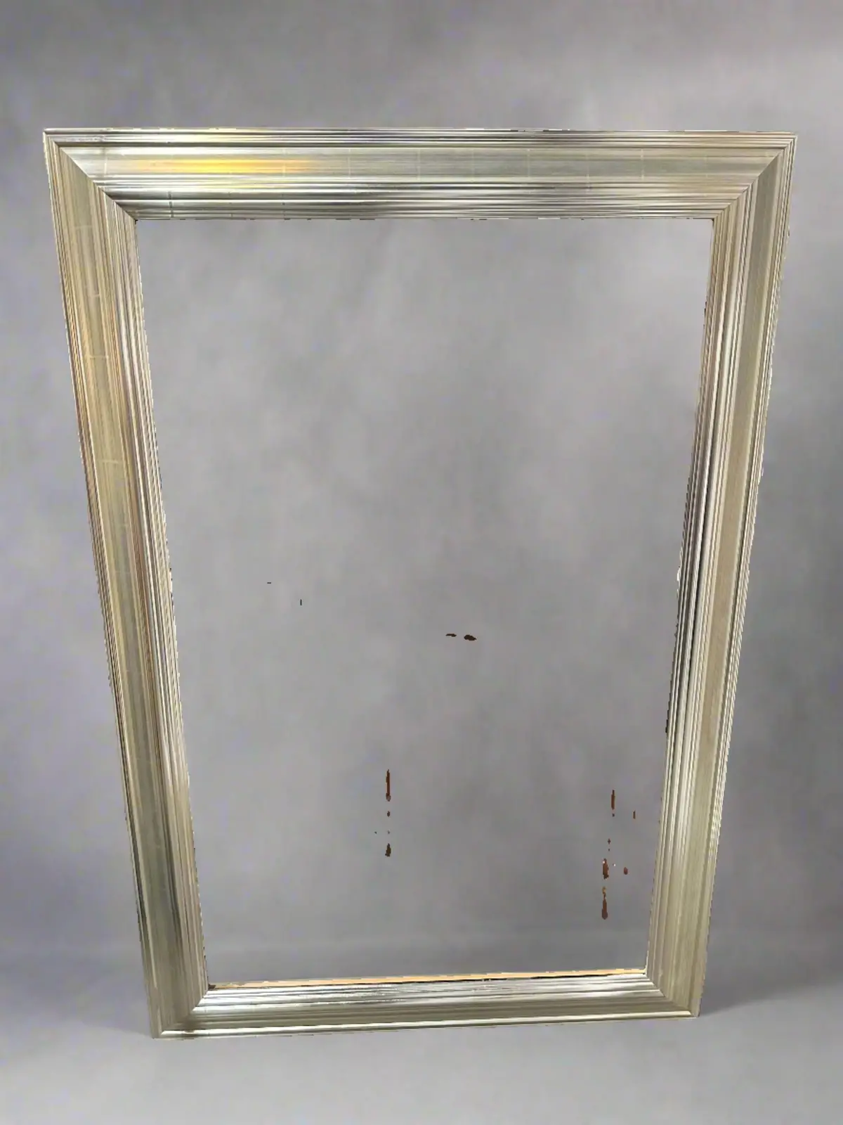 Large Silver Frame 1