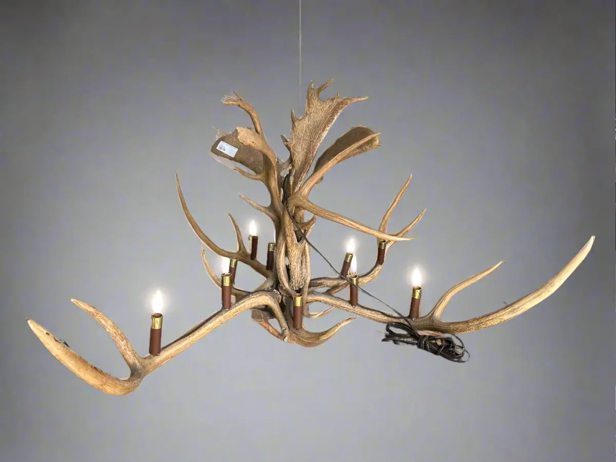 2 Light Antler Chandelier 1