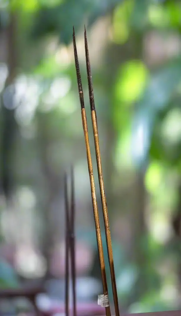Bamboo And Wood Ceremonial Spear 1