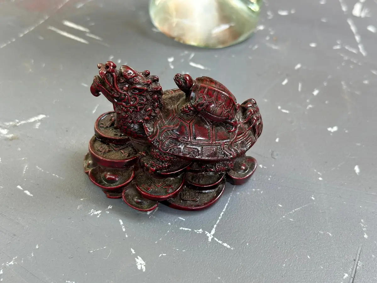 Asian Carved Dragon Tortoise Hybrid 1