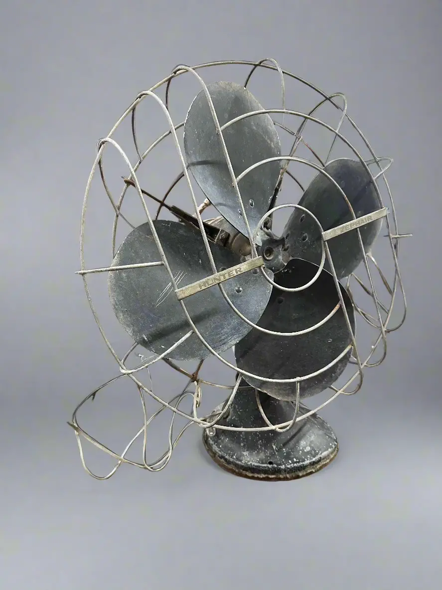 Hunter Zepher Fan 1