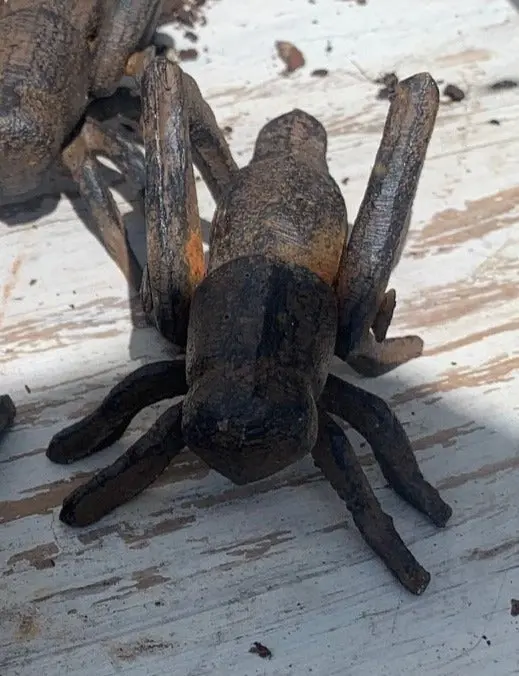 Cast Iron Grasshopper 1