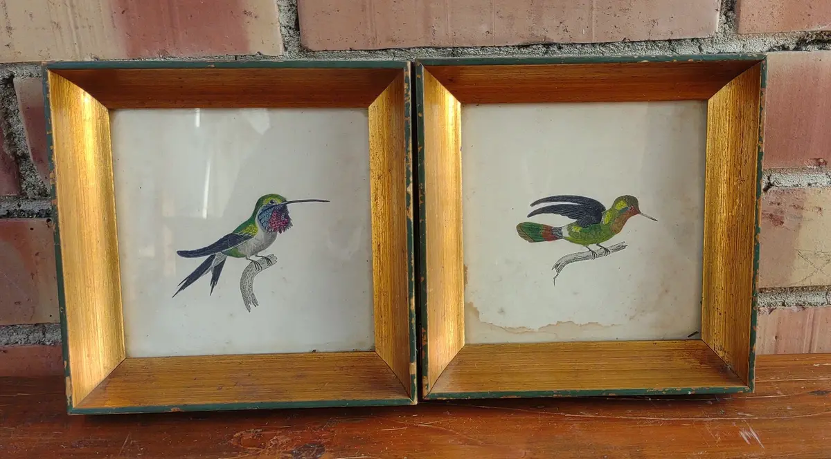 Pair Of Small Framed Bird Water Colors 1