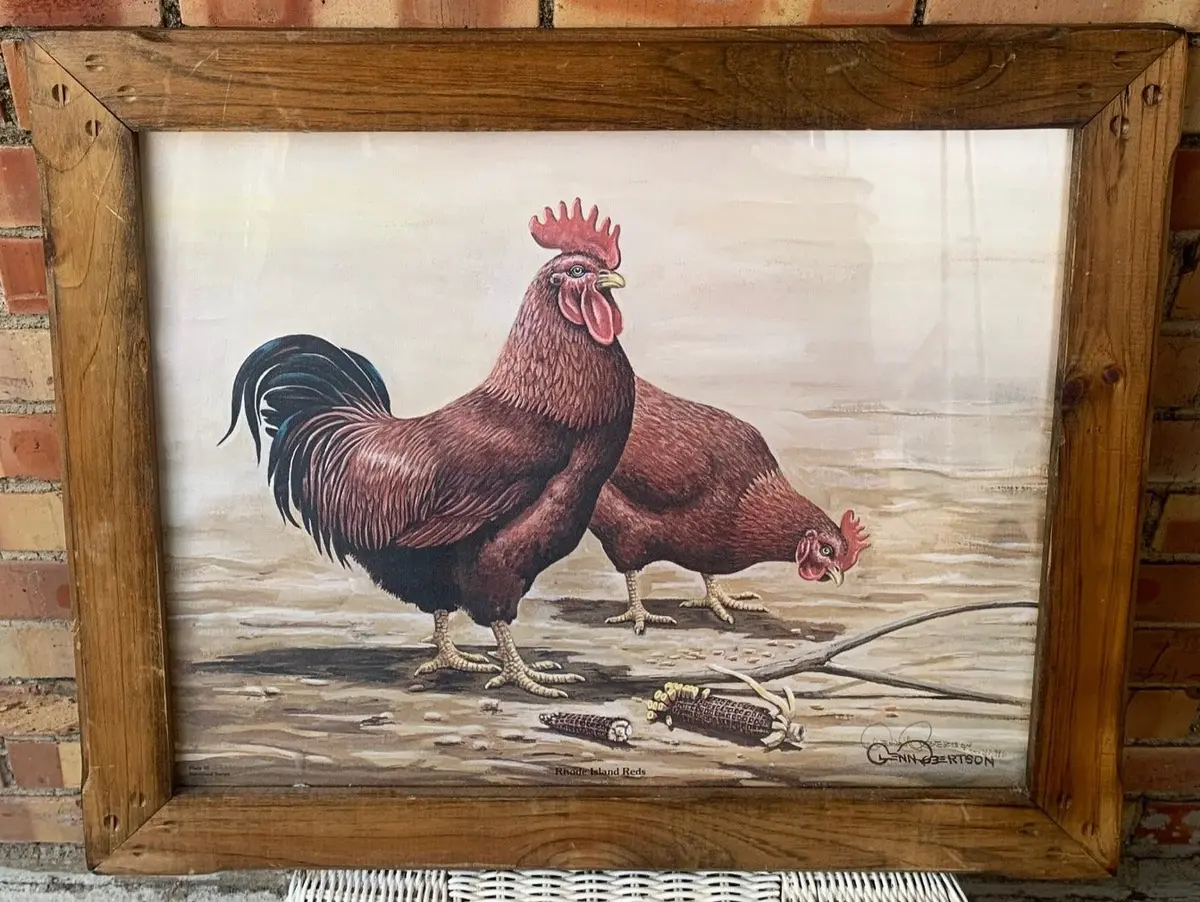 Framed Print Of Chickens 1