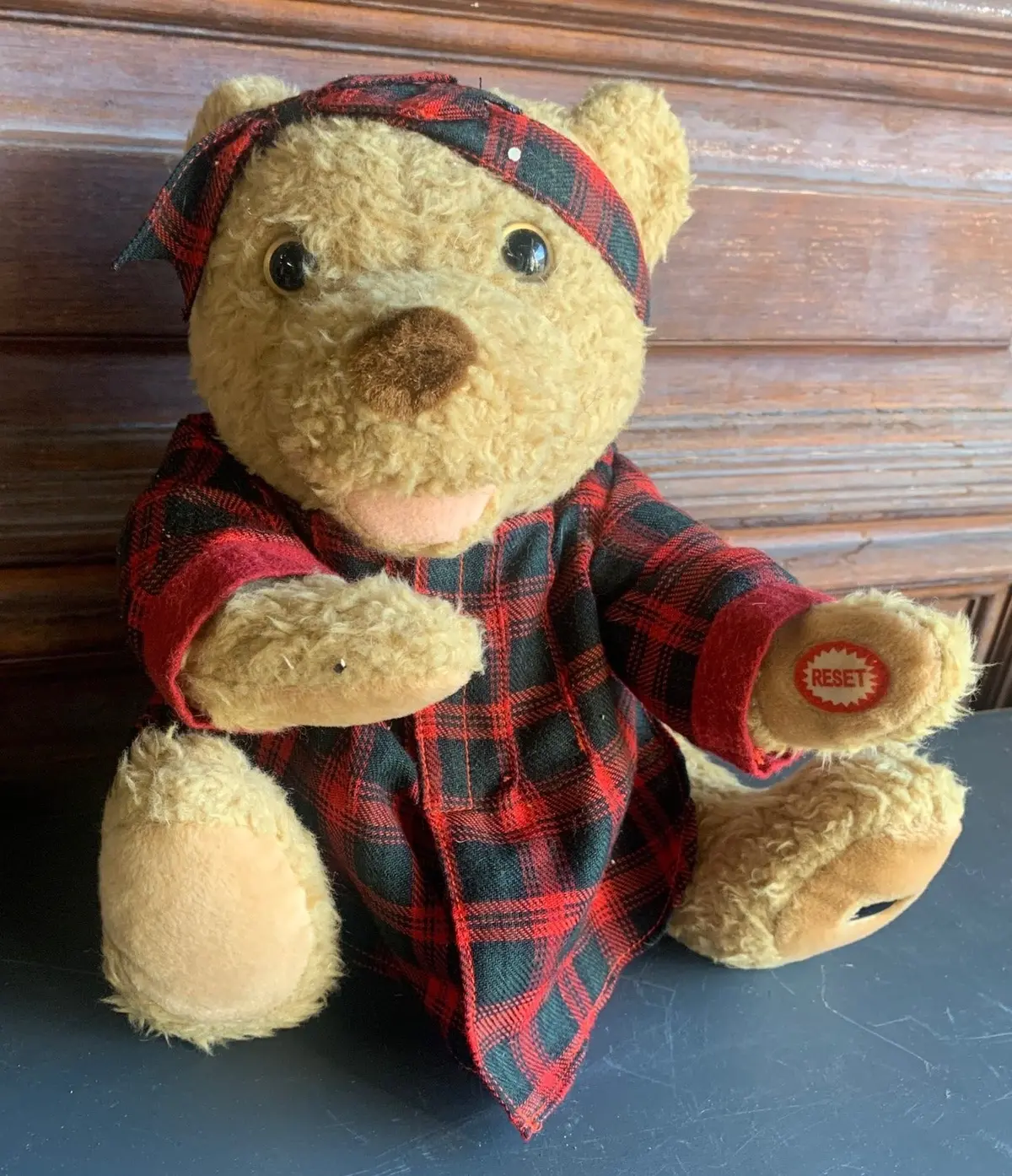 Knickerbocker Spy Camera Teddy Bear 1
