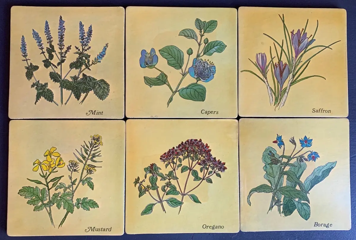 Herbs Coaster Set 1